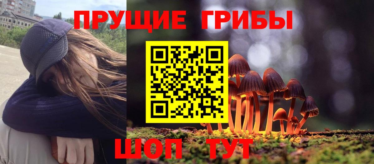 Псилоцибиновые грибы мухоморы Липецк